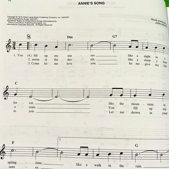 Hal Leonard Your First Fake Book EXC - Picture 8 of 16